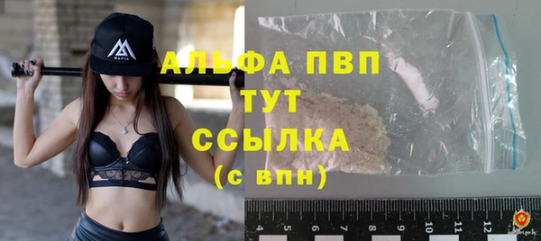 эйфоретик Инсар