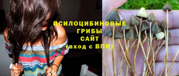 эйфоретик Инсар