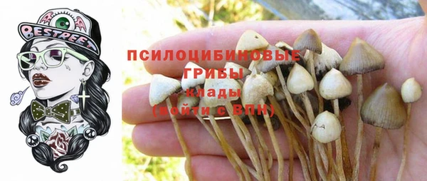 эйфоретик Инсар