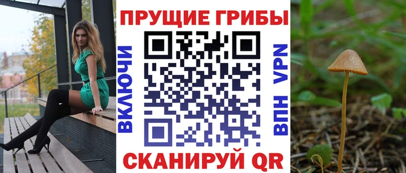 Купить  Можайск  Псилоцибиновые грибы Psilocybine cubensis 